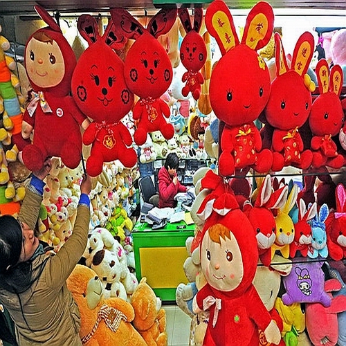 LES PLUS BELLE IMAGES DU NOUVEL AN CHINOIS 2011