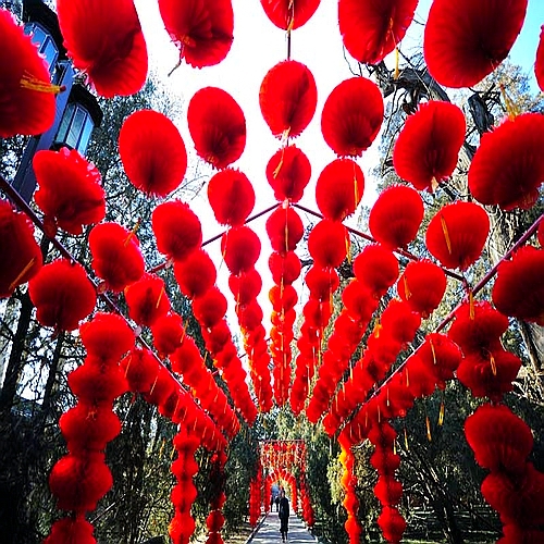 LES PLUS BELLE IMAGES DU NOUVEL AN CHINOIS 2011