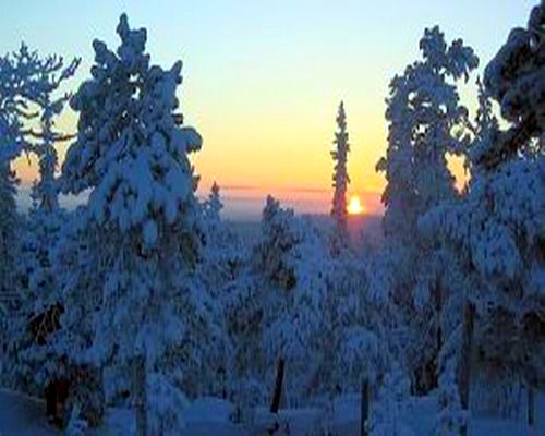  une vue de la laponie a noel