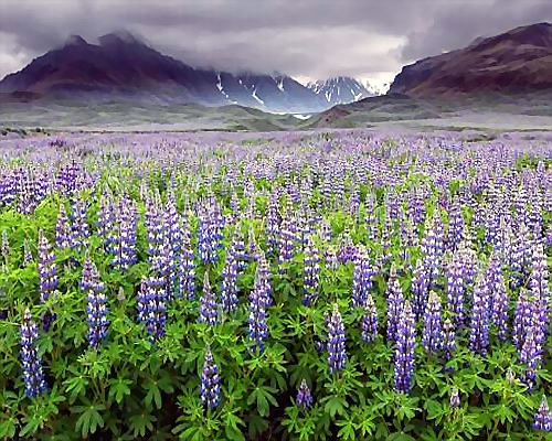  Parc national du Vatnajkull islande