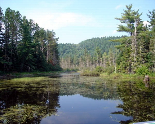 sublime vue du canada dans les rocheuses .