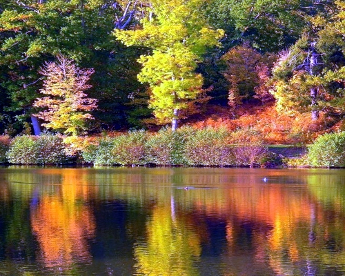une vue sublime du canada au début de l`été