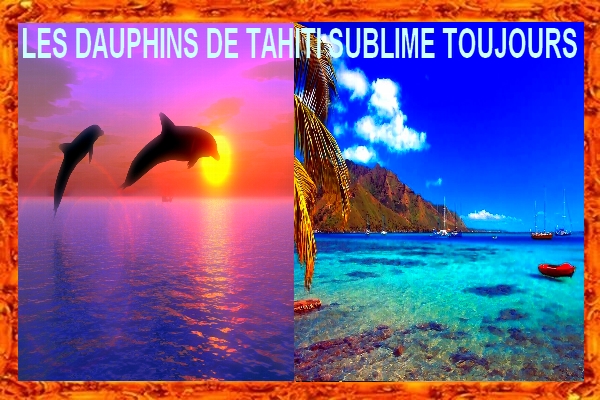 LES DAUPHINS DE TAHITI SUBLIMETOUJOURS 3