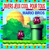 JEUX MARIO BROS