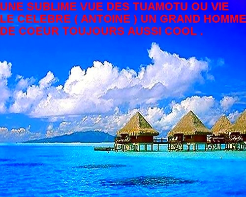 une sublime vue des tuamotu 1